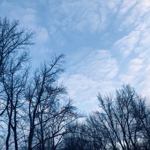 In need of affordable brandy shirts